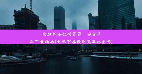 电脑版谷歌浏览器：安全正版下载指南(电脑下谷歌浏览器安全吗)