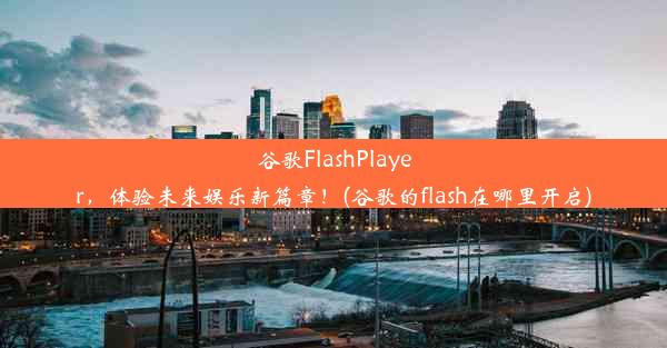 谷歌FlashPlayer，体验未来娱乐新篇章！(谷歌的flash在哪里开启)