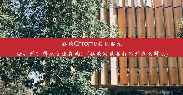 谷歌Chrome浏览器无法打开？解决方法在此！(谷歌浏览器打不开怎么解决)