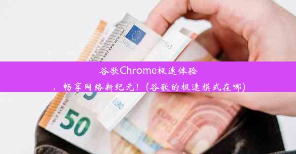 谷歌Chrome极速体验，畅享网络新纪元！(谷歌的极速模式在哪)