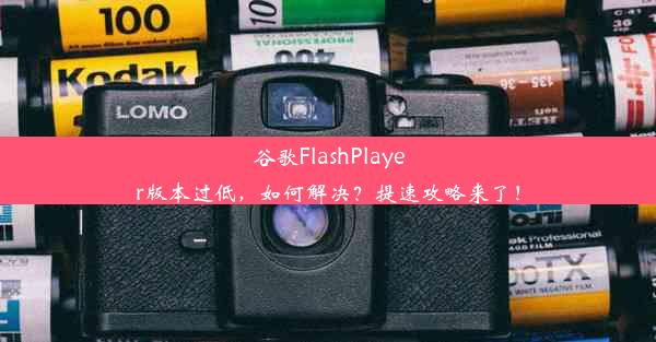 谷歌FlashPlayer版本过低，如何解决？提速攻略来了！