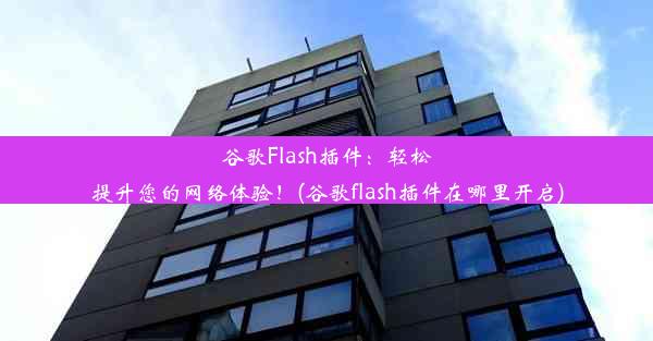 谷歌Flash插件：轻松提升您的网络体验！(谷歌flash插件在哪里开启)