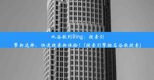 从谷歌到Bing：搜索引擎新选择，快速搜索新体验！(搜索引擎排名谷歌搜索)