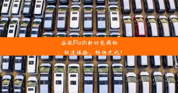 谷歌Flash新功能揭秘：极速体验，畅快无比！