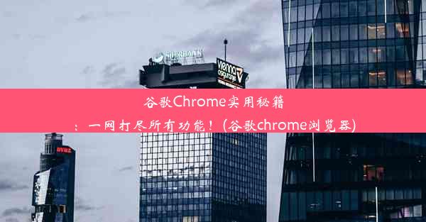 谷歌Chrome实用秘籍：一网打尽所有功能！(谷歌chrome浏览器)