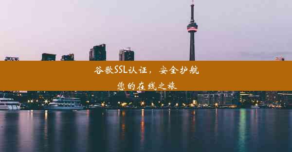 谷歌SSL认证，安全护航您的在线之旅