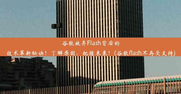 谷歌放弃Flash背后的技术革新秘诀！了解原因，把握未来！(谷歌flash不再受支持)