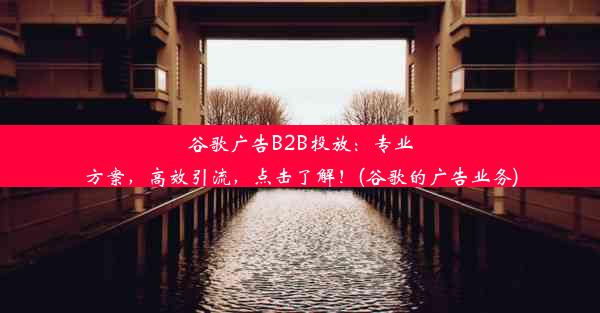 谷歌广告B2B投放：专业方案，高效引流，点击了解！(谷歌的广告业务)