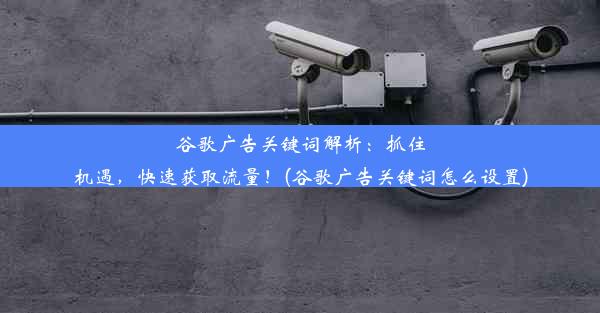 谷歌广告关键词解析：抓住机遇，快速获取流量！(谷歌广告关键词怎么设置)