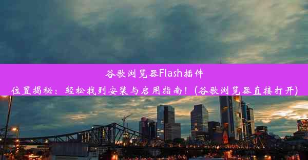 谷歌浏览器Flash插件位置揭秘：轻松找到安装与启用指南！(谷歌浏览器直接打开)