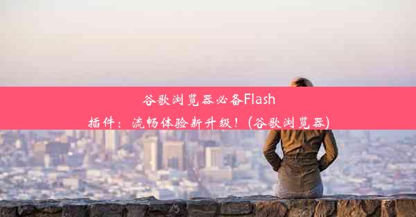 谷歌浏览器必备Flash插件：流畅体验新升级！(谷歌浏览器)