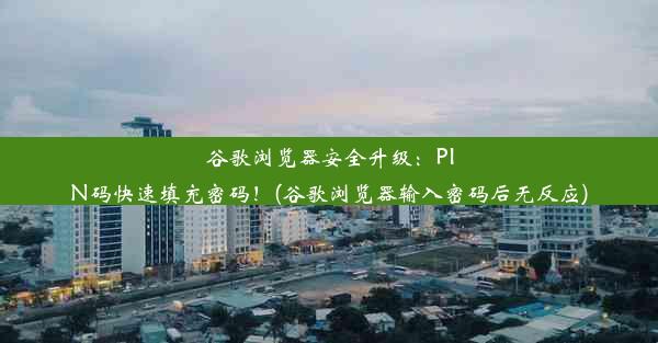 谷歌浏览器安全升级：PIN码快速填充密码！(谷歌浏览器输入密码后无反应)