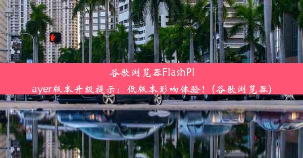 谷歌浏览器FlashPlayer版本升级提示：低版本影响体验！(谷歌浏览器)