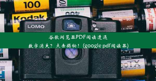 谷歌浏览器PDF阅读遭遇数字消失？点击揭秘！(google pdf阅读器)