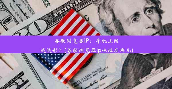 谷歌浏览器IP：手机上网迹随形？(谷歌浏览器ip地址在哪儿)