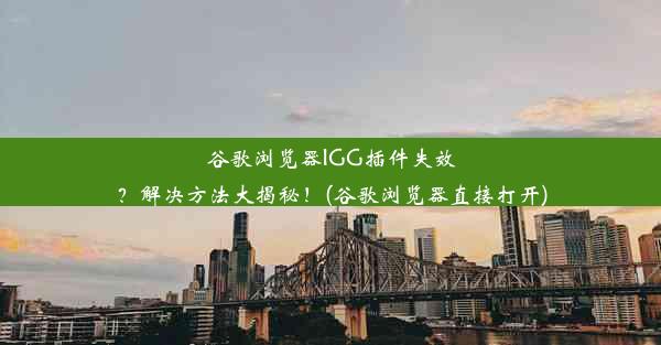 谷歌浏览器IGG插件失效？解决方法大揭秘！(谷歌浏览器直接打开)