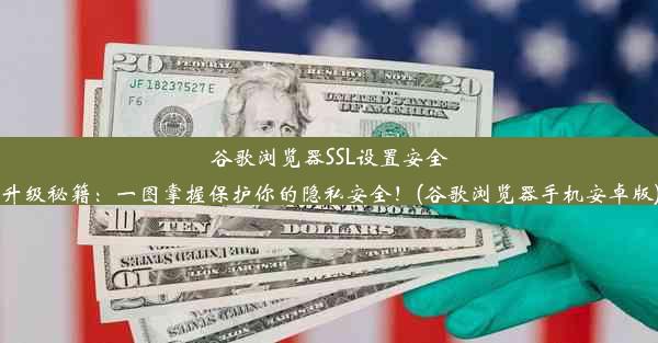 谷歌浏览器SSL设置安全升级秘籍：一图掌握保护你的隐私安全！(谷歌浏览器手机安卓版)