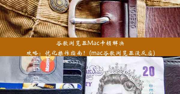 谷歌浏览器Mac卡顿解决攻略：优化操作指南！(mac谷歌浏览器没反应)