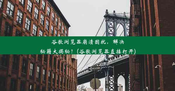 谷歌浏览器崩溃困扰，解决秘籍大揭秘！(谷歌浏览器直接打开)