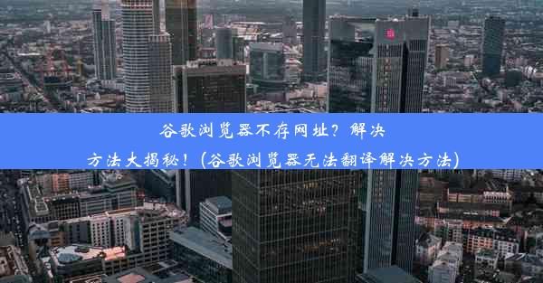 谷歌浏览器不存网址？解决方法大揭秘！(谷歌浏览器无法翻译解决方法)