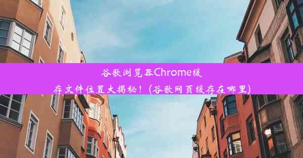 谷歌浏览器Chrome缓存文件位置大揭秘！(谷歌网页缓存在哪里)