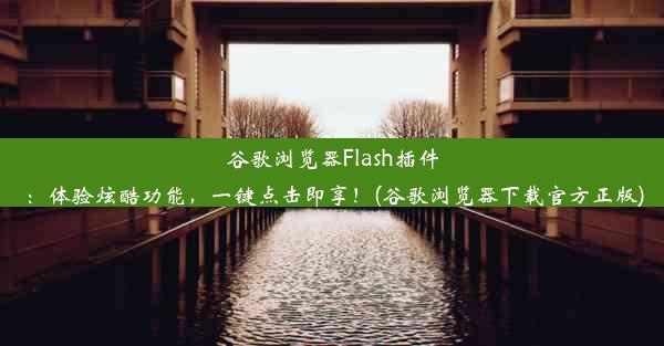 谷歌浏览器Flash插件：体验炫酷功能，一键点击即享！(谷歌浏览器下载官方正版)