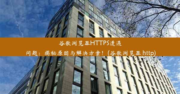 谷歌浏览器HTTPS遭遇问题：揭秘原因与解决方案！(谷歌浏览器 http)