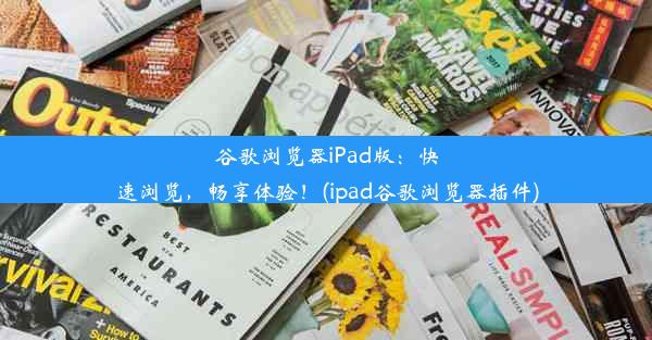 谷歌浏览器iPad版：快速浏览，畅享体验！(ipad谷歌浏览器插件)