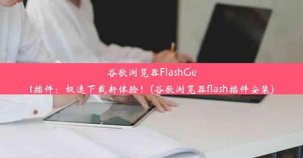 谷歌浏览器FlashGet插件：极速下载新体验！(谷歌浏览器flash插件安装)