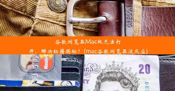 谷歌浏览器Mac版无法打开，解决秘籍揭秘！(mac谷歌浏览器没反应)