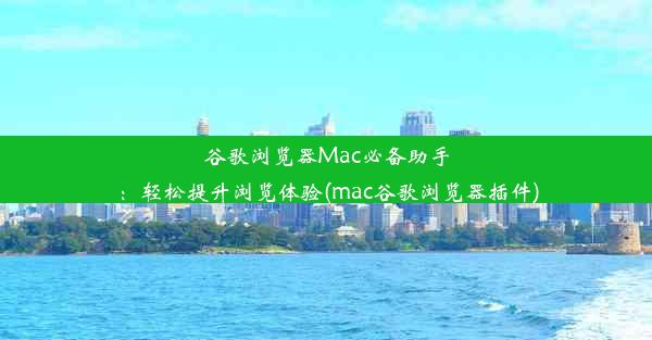 谷歌浏览器Mac必备助手：轻松提升浏览体验(mac谷歌浏览器插件)