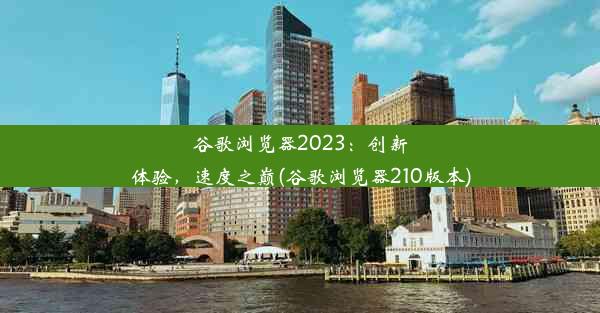 谷歌浏览器2023：创新体验，速度之巅(谷歌浏览器210版本)