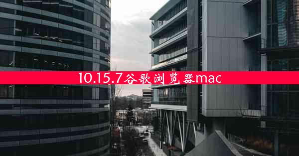 10.15.7谷歌浏览器mac