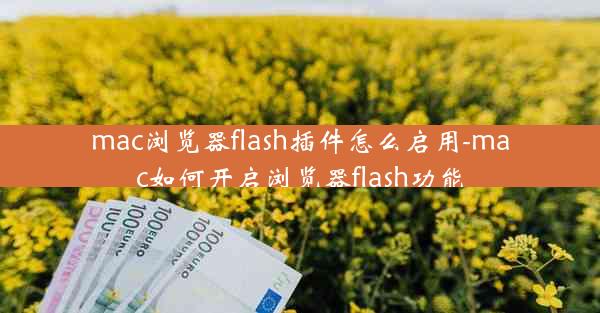 mac浏览器flash插件怎么启用-mac如何开启浏览器flash功能