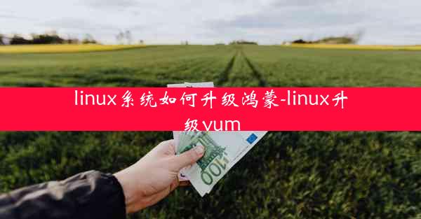 linux系统如何升级鸿蒙-linux升级yum